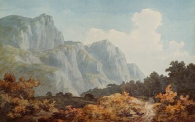 Nulla laoreet posuere consectetur